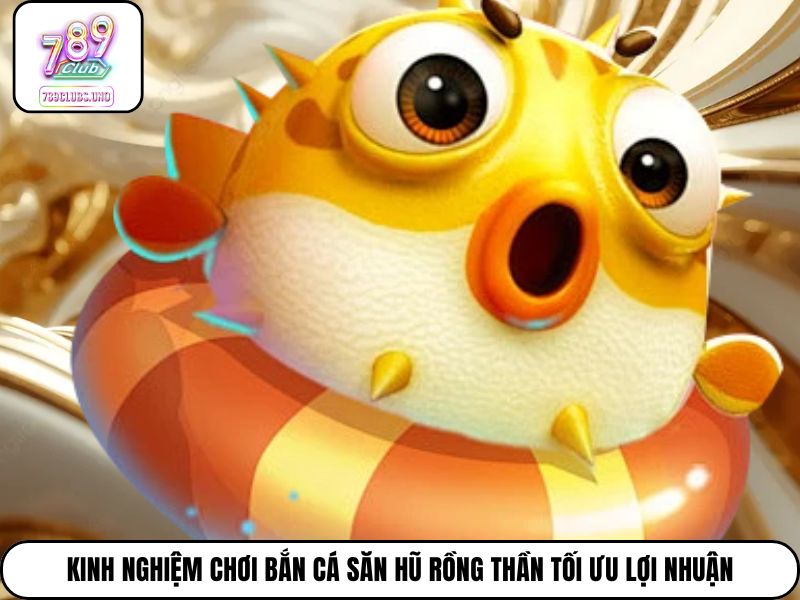 Kinh nghiệm chơi bắn cá Săn Hũ Rồng Thần tối ưu lợi nhuận